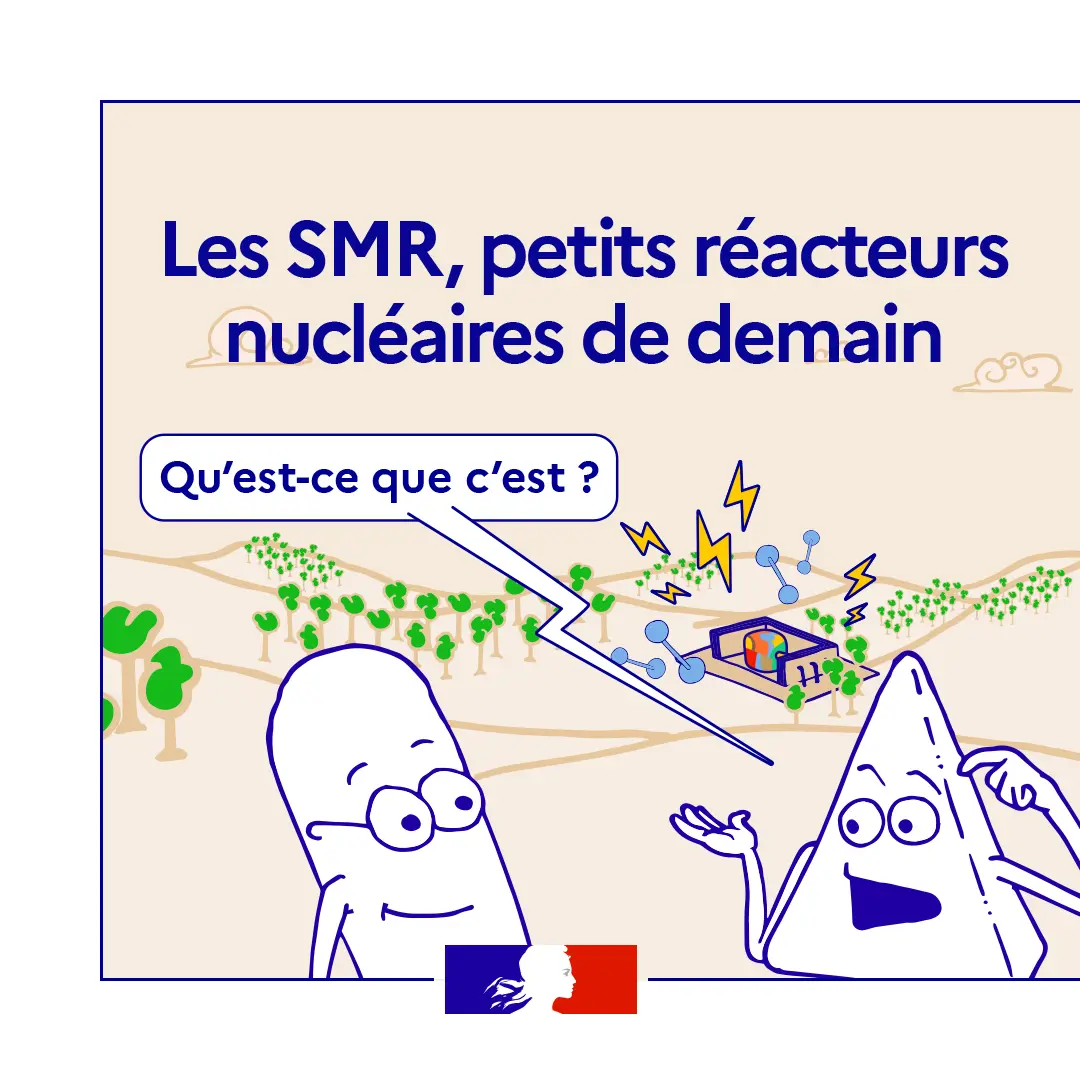 BD sur les SMR 1/6