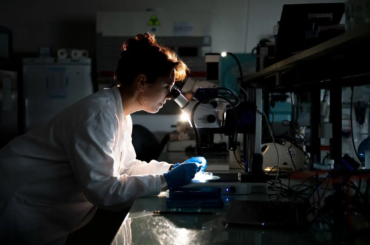 Photographie dans un laboratoire