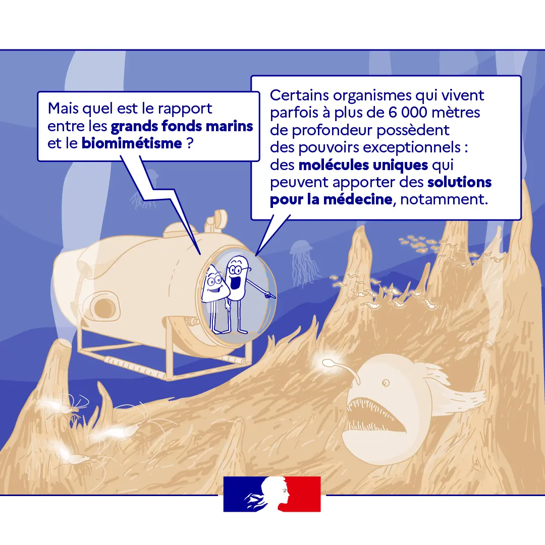 BD sur le biomimétisme 3/6