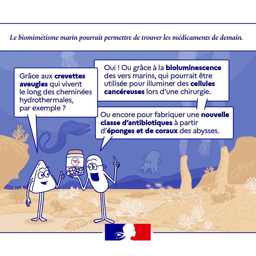 BD sur le biomimétisme 4/6