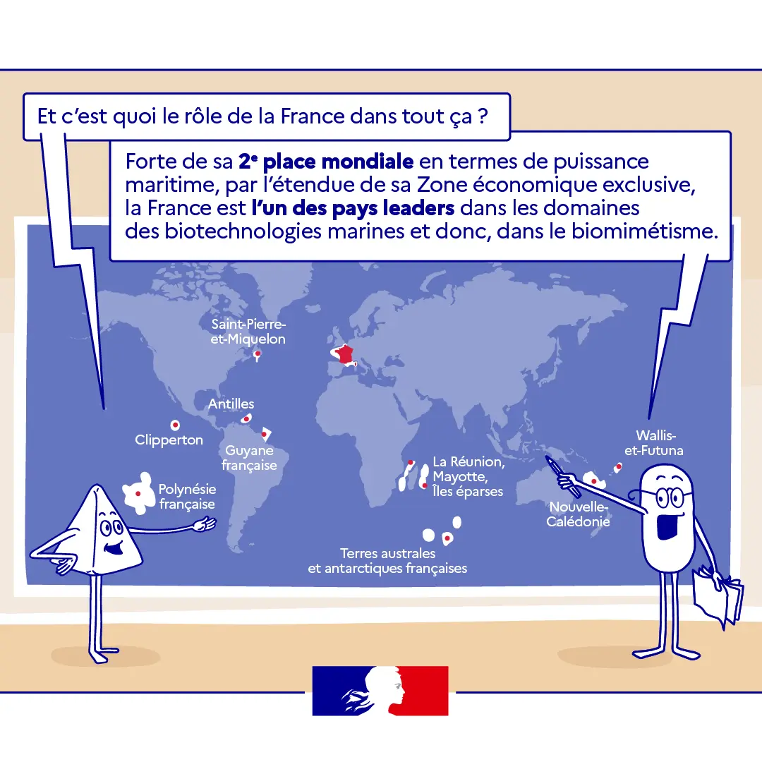 BD sur le biomimétisme 5/6