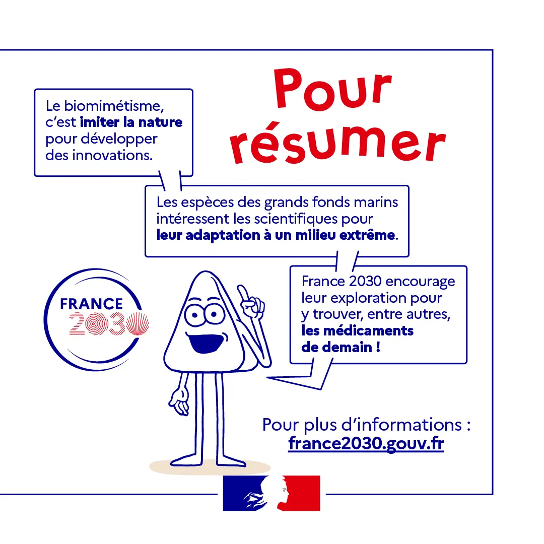 BD sur le biomimétisme 6/6